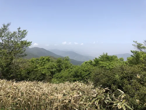 Fukuoka visual data 5