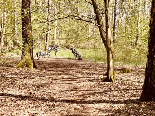 Internationaler Kunstwanderweg Hoher Fläming