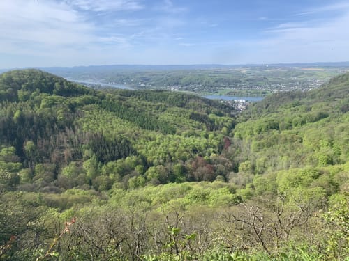 Traumhafte Siebengebirgsrunde mit Löwenburg und Drachenfels