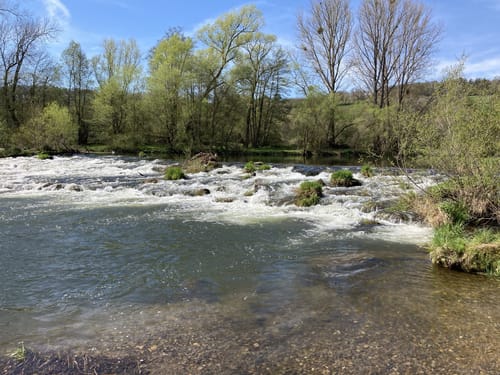 Bad Wildungen - Wega - Edertal