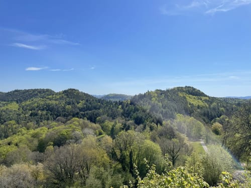 Burgruine Lemberg