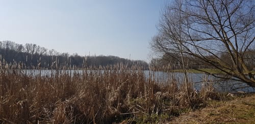 Wendebach-Stausee