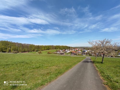 Premiumwanderweg: Wäller Tour Buchfinkenland