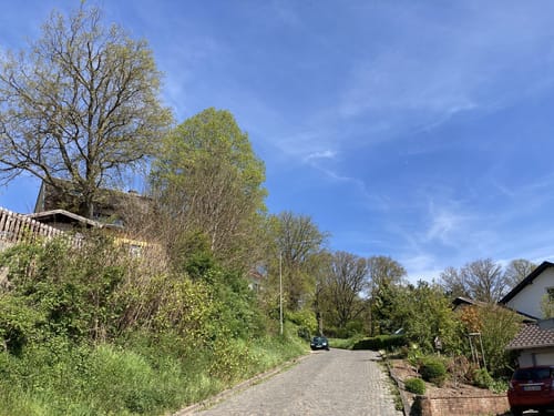Gänseweg (Blieskastel)