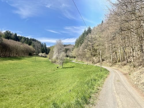 Zu den Attraktionen im Nürburgring