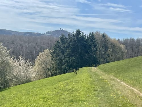 Zu den Attraktionen im Nürburgring