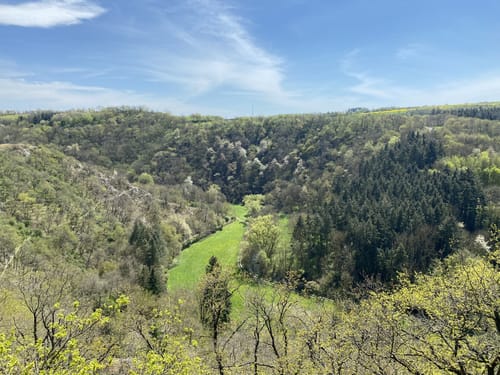 Nette-Schieferpfad (Traumpfad)