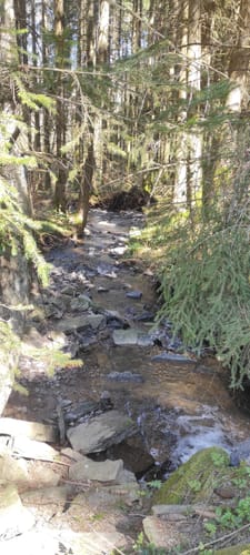 Heilhausen: Wanderweg 87