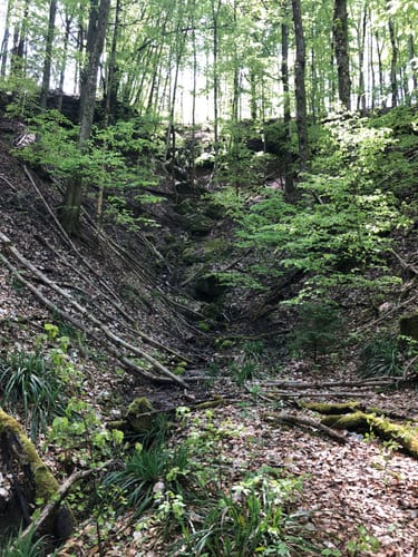 Spiegelberg Rundwanderweg S2