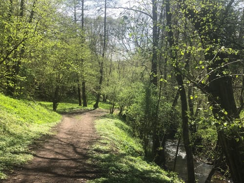 Breitenauer See zu Sulzbach an der Murr