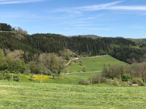 Berwinkel - Sulzbach - Zwerenberg