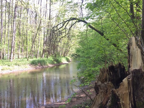 Hessische Apfelwein- und Obstwiesenroute: Rund um Hanau