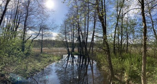 Um den Sarnekower See