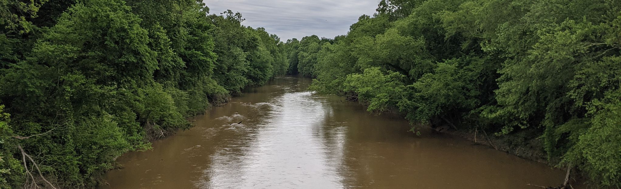 Wolf River Trails from Walnut Grove Road | Mappa, Guida - Tennessee ...