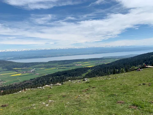 2023 Best Dog Friendly Trails in Les HautsGeneveys AllTrails