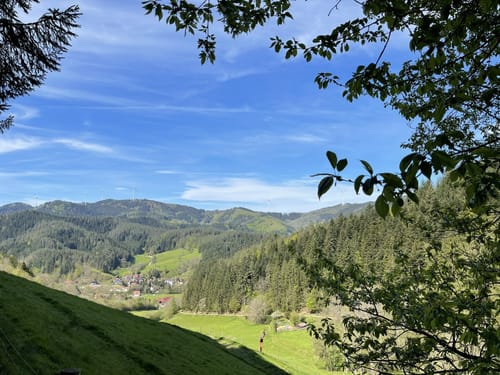 Gutacher Tälersteig (Genießerpfad)
