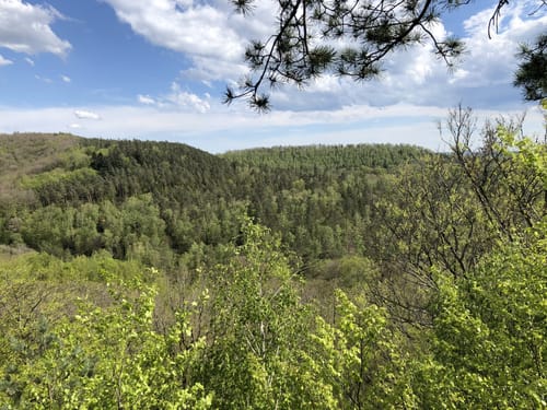 Grenzweg (Premiumwanderweg)