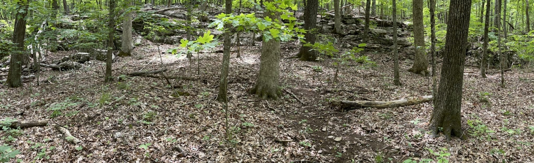 Bluffline Trail, Wagon Trail, Watts Trail, and Tollgate Trail Loop 118 Reviews, Map Alabama