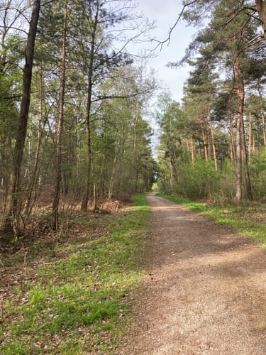 Laufrunde Schavener Heide