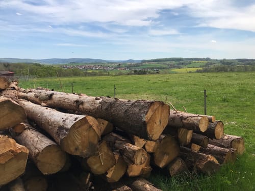Von Altenmittlau nach Geiselbach