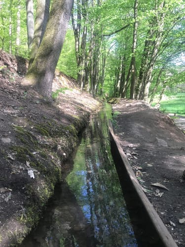 Von Altenmittlau nach Geiselbach