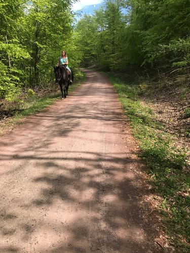 Von Altenmittlau nach Geiselbach