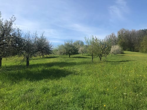 Von Altenmittlau nach Geiselbach