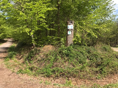 Von Altenmittlau nach Geiselbach