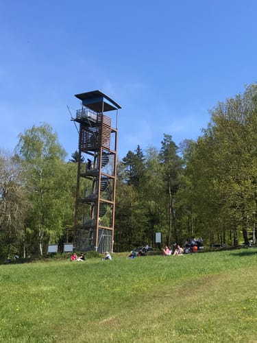 Von Altenmittlau nach Geiselbach