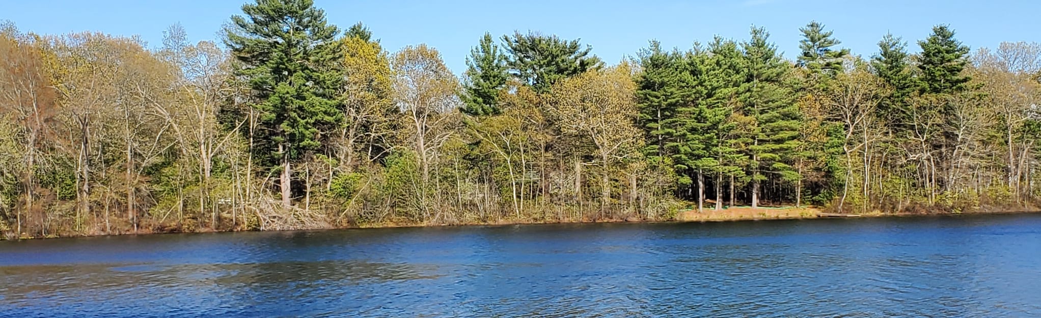Ames Long Pond Trail 17 Reviews, Map Massachusetts AllTrails