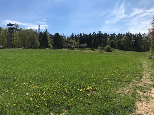 Von Altenmittlau nach Geiselbach
