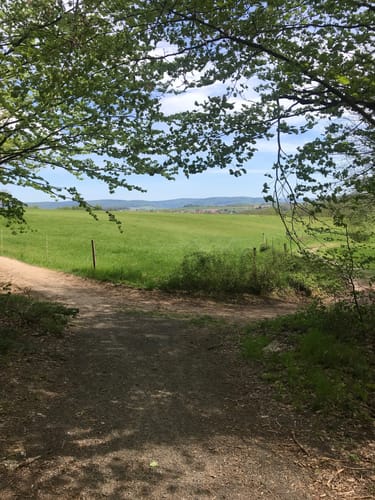 Von Altenmittlau nach Geiselbach