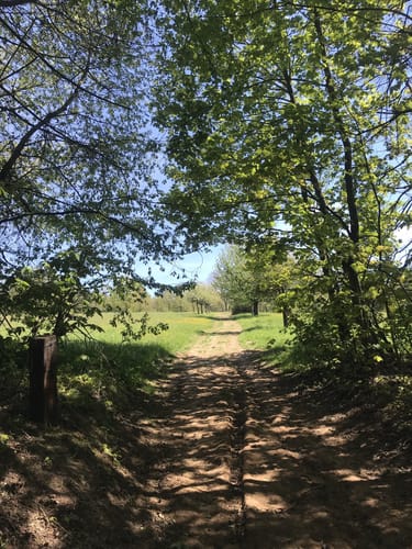 Neuseser Fernblick (Premiumspazierwanderweg)
