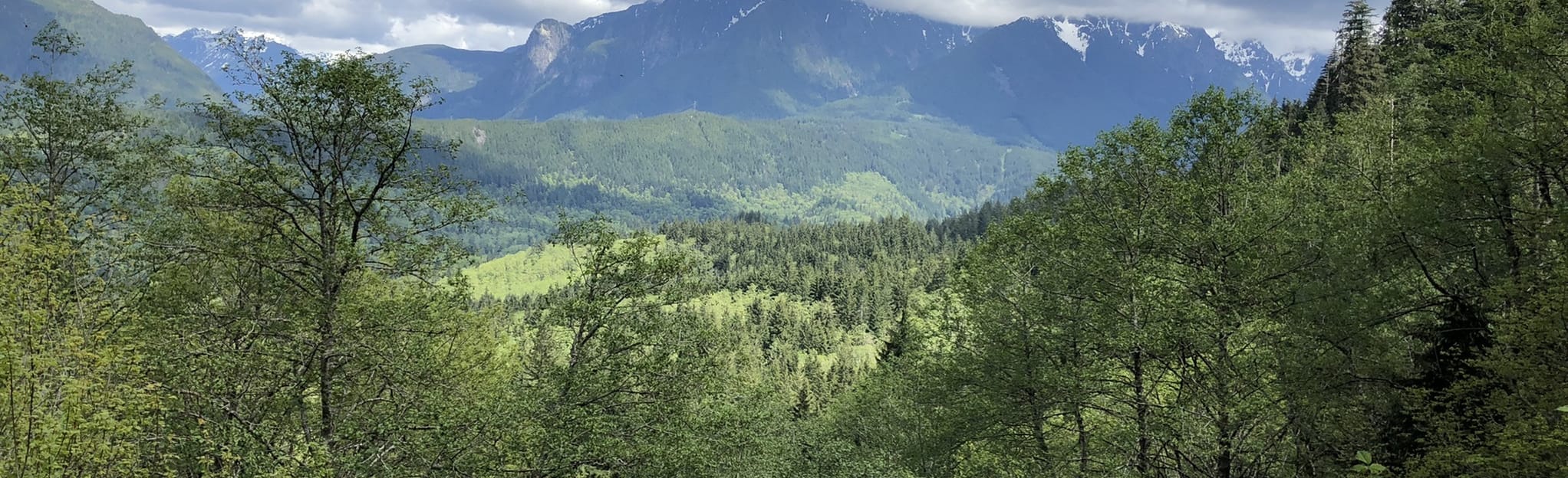 Bridal Veil Falls Trail 3,828 Reviews, Map Washington AllTrails