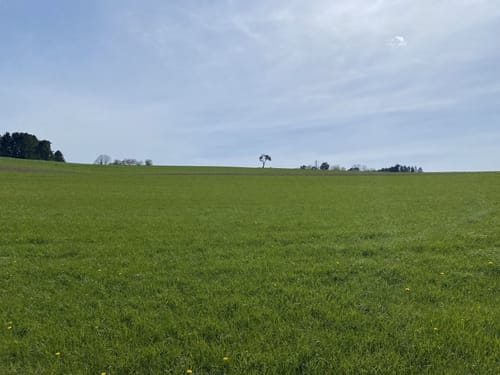 Von Winnerath auf idyllischen Wegen