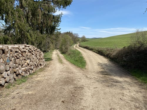Von Winnerath auf idyllischen Wegen