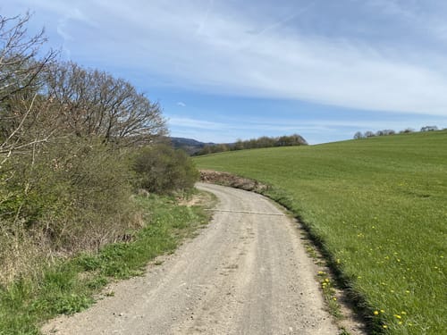 Ahrsteig: Liers - Dümpelfeld - Lückenbach - Insul