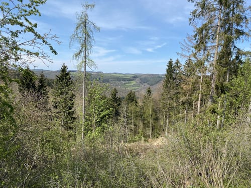 Von Winnerath auf idyllischen Wegen