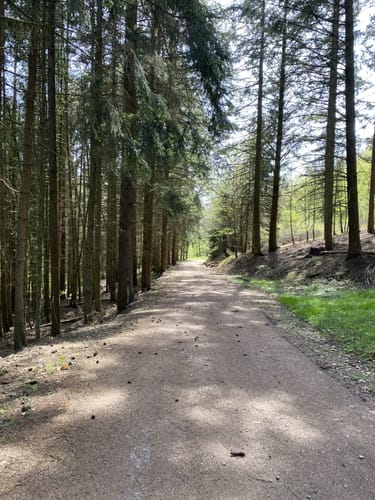 Von Winnerath auf idyllischen Wegen