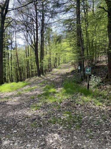 Von Winnerath auf idyllischen Wegen