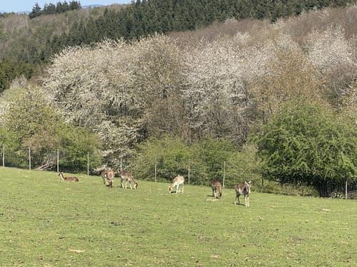 Von Winnerath auf idyllischen Wegen