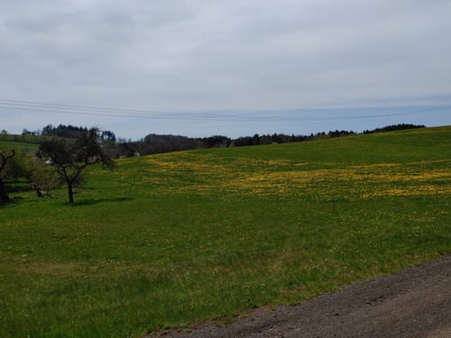 Eifelleiter-Runde von Kempenich