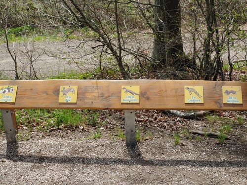Eifelleiter-Runde von Kempenich