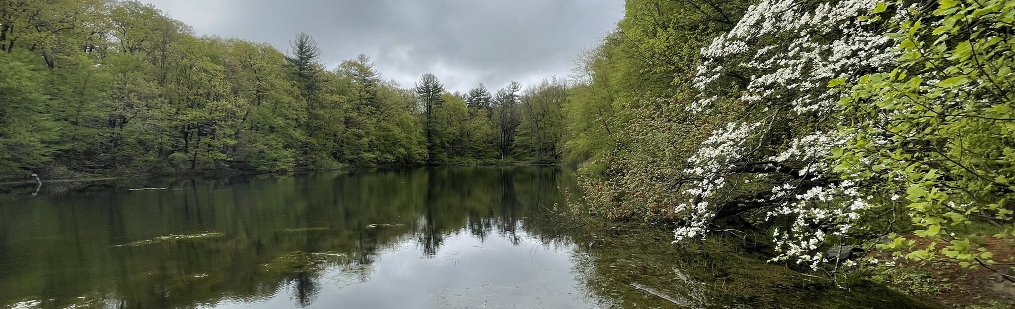 Westmoreland Grand Tour, New York 466 Reviews, Map AllTrails