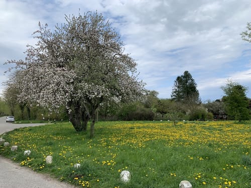 StadtLandFluss-Tour