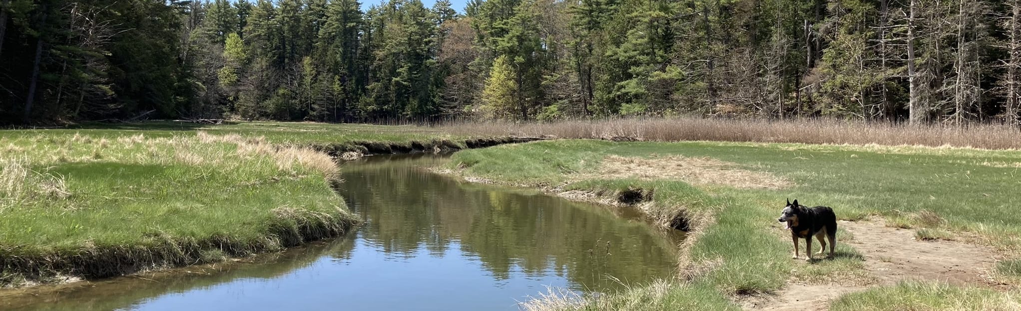 Falmouth Nature Preserve Red Trail, Maine 35 Reviews, Map AllTrails