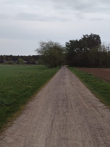 Aller-Radweg Etappe 4: Celle - Schwarmstedt