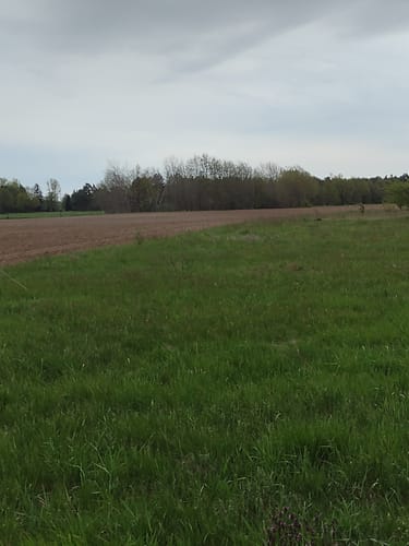 Aller-Radweg Etappe 4: Celle - Schwarmstedt