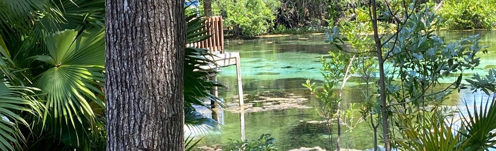 are dogs allowed at weeki wachee springs