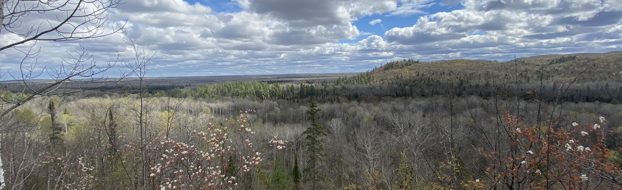 Cascade Falls Trail: 96 Reviews, Map - Michigan | AllTrails